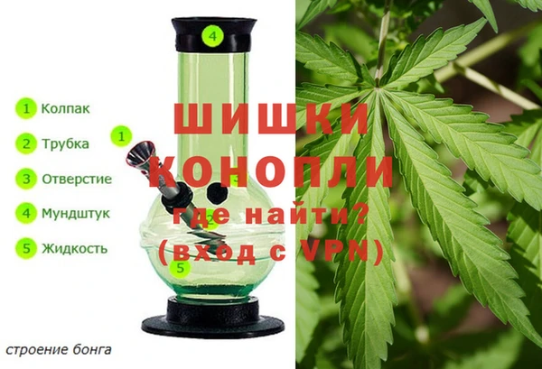 PSILOCYBIN Баксан