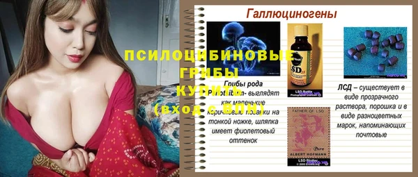 PSILOCYBIN Баксан
