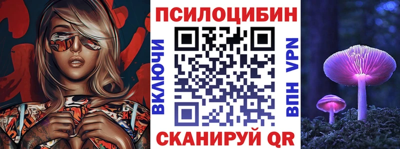 кракен ССЫЛКА  Моршанск  нарко площадка наркотические препараты  Псилоцибиновые грибы Psilocybine cubensis 